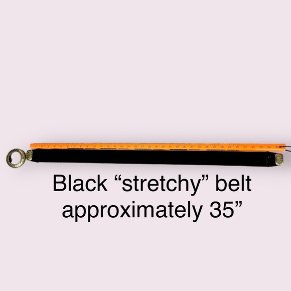 Chico’s black stretch & leather trim belt with gold-tone closure - Picture 2 of 9
